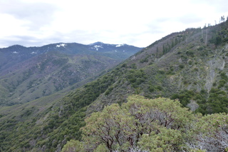 Filename=P1030405.JPG
Filesize=5217KiB
Dimensions=4320x2880
Date added=Sep 23, 2019 P1030405.JPG