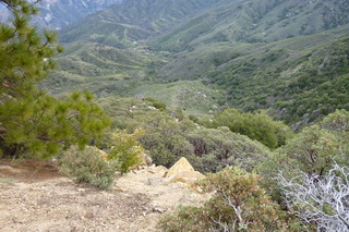 Filename=P1030406.JPG
Filesize=5225KiB
Dimensions=4320x2880
Date added=Sep 23, 2019 P1030406.JPG