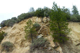 Filename=P1030409.JPG
Filesize=5440KiB
Dimensions=4320x2880
Date added=Sep 23, 2019 P1030409.JPG