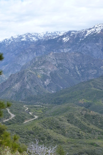 Filename=P1030411.JPG
Filesize=4143KiB
Dimensions=2880x4320
Date added=Sep 23, 2019 P1030411.JPG