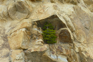 Filename=P1030419.JPG
Filesize=5154KiB
Dimensions=4320x2880
Date added=Sep 23, 2019 P1030419.JPG