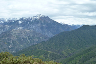 Filename=P1030420.JPG
Filesize=5105KiB
Dimensions=4320x2880
Date added=Sep 23, 2019 P1030420.JPG