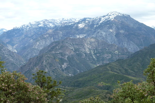 Filename=P1030423.JPG
Filesize=4977KiB
Dimensions=4320x2880
Date added=Sep 23, 2019 P1030423.JPG