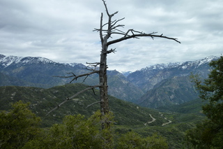 Filename=P1030424.JPG
Filesize=5249KiB
Dimensions=4320x2880
Date added=Sep 23, 2019 P1030424.JPG