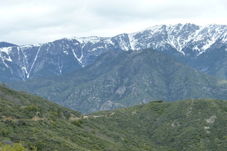 Filename=P1030438.JPG
Filesize=4955KiB
Dimensions=4320x2880
Date added=Sep 23, 2019 P1030438.JPG