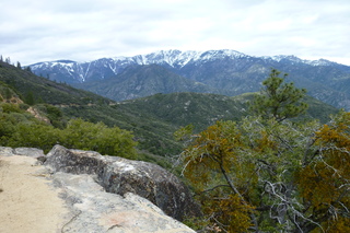 Filename=P1030439.JPG
Filesize=5441KiB
Dimensions=4320x2880
Date added=Sep 23, 2019 P1030439.JPG