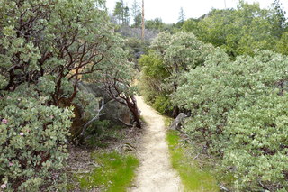 Filename=P1030440.JPG
Filesize=5195KiB
Dimensions=4320x2880
Date added=Sep 23, 2019 P1030440.JPG