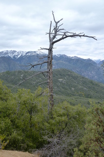 Filename=P1030442.JPG
Filesize=4573KiB
Dimensions=2880x4320
Date added=Sep 23, 2019 P1030442.JPG