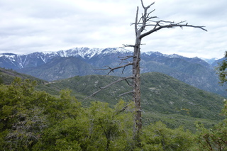 Filename=P1030443.JPG
Filesize=5155KiB
Dimensions=4320x2880
Date added=Sep 23, 2019 P1030443.JPG