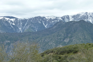 Filename=P1030446.JPG
Filesize=5058KiB
Dimensions=4320x2880
Date added=Sep 23, 2019 P1030446.JPG