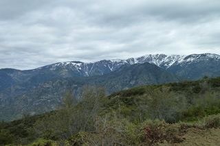 Filename=P1030449.JPG
Filesize=4963KiB
Dimensions=4320x2880
Date added=Sep 23, 2019 P1030449.JPG