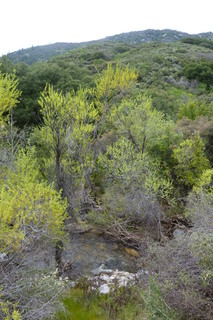 Filename=P1030477.JPG
Filesize=4542KiB
Dimensions=2880x4320
Date added=Sep 23, 2019 P1030477.JPG