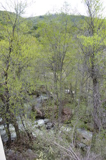 Filename=P1030478.JPG
Filesize=4747KiB
Dimensions=2880x4320
Date added=Sep 23, 2019 P1030478.JPG