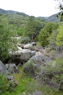 Filename=P1030481.JPG
Filesize=4537KiB
Dimensions=2880x4320
Date added=Sep 23, 2019 P1030481.JPG