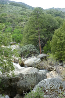 Filename=P1030482.JPG
Filesize=4199KiB
Dimensions=2880x4320
Date added=Sep 23, 2019 P1030482.JPG