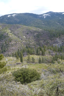 Filename=P1030489.JPG
Filesize=4677KiB
Dimensions=2880x4320
Date added=Sep 23, 2019 P1030489.JPG