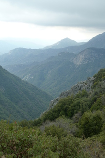 Filename=P1030502.JPG
Filesize=4414KiB
Dimensions=2880x4320
Date added=Sep 23, 2019 P1030502.JPG