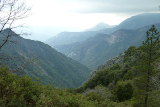 Filename=P1030505.JPG
Filesize=4940KiB
Dimensions=4320x2880
Date added=Sep 23, 2019 P1030505.JPG