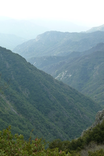 Filename=P1030506.JPG
Filesize=4358KiB
Dimensions=2880x4320
Date added=Sep 23, 2019 P1030506.JPG