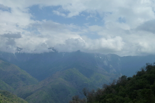 Filename=P1030512.JPG
Filesize=4562KiB
Dimensions=4320x2880
Date added=Sep 23, 2019 P1030512.JPG