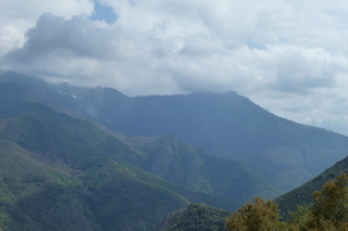 Filename=P1030514.JPG
Filesize=4753KiB
Dimensions=4320x2880
Date added=Sep 23, 2019 P1030514.JPG