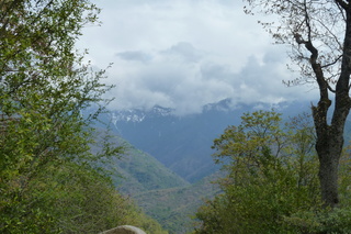 Filename=P1030516.JPG
Filesize=5507KiB
Dimensions=4320x2880
Date added=Sep 23, 2019 P1030516.JPG