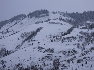 Filename=DSCN3760.JPG
Filesize=7198KiB
Dimensions=4608x3456
Date added=Mar 31, 2024 DSCN3760.JPG