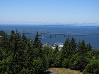 Filename=DSCN6042.JPG
Filesize=6831KiB
Dimensions=4608x3456
Date added=Aug 30, 2025 DSCN6042.JPG