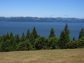 Filename=DSCN6050.JPG
Filesize=6581KiB
Dimensions=4608x3456
Date added=Aug 30, 2025 DSCN6050.JPG