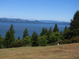 Filename=DSCN6051.JPG
Filesize=6648KiB
Dimensions=4608x3456
Date added=Aug 30, 2025 DSCN6051.JPG