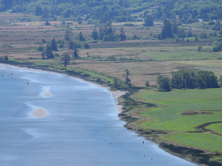 Filename=DSCN6060.JPG
Filesize=6245KiB
Dimensions=4608x3456
Date added=Aug 30, 2025 DSCN6060.JPG