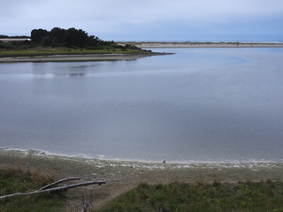 Filename=DSCN6085.JPG
Filesize=5847KiB
Dimensions=4608x3456
Date added=Aug 30, 2025 DSCN6085.JPG