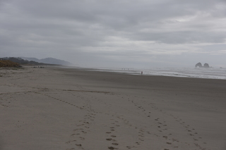 Filename=DSC_0977.JPG
Filesize=14417KiB
Dimensions=7360x4912
Date added=Dec 30, 2019 DSC_0977.JPG