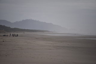 Filename=DSC_0978.JPG
Filesize=14348KiB
Dimensions=7360x4912
Date added=Dec 30, 2019 DSC_0978.JPG