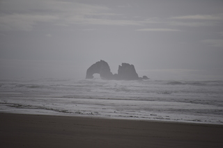 Filename=DSC_0979.JPG
Filesize=14978KiB
Dimensions=7360x4912
Date added=Dec 30, 2019 DSC_0979.JPG