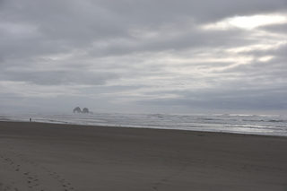 Filename=DSC_0980.JPG
Filesize=14331KiB
Dimensions=7360x4912
Date added=Dec 30, 2019 DSC_0980.JPG