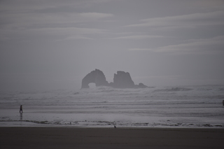 Filename=DSC_0981.JPG
Filesize=14625KiB
Dimensions=7360x4912
Date added=Dec 30, 2019 DSC_0981.JPG