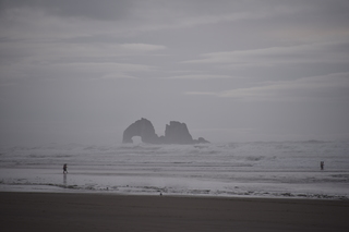 Filename=DSC_0982.JPG
Filesize=14452KiB
Dimensions=7360x4912
Date added=Dec 30, 2019 DSC_0982.JPG