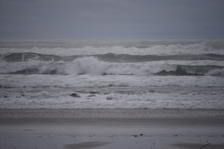 Filename=DSC_0984.JPG
Filesize=15296KiB
Dimensions=7360x4912
Date added=Dec 30, 2019 DSC_0984.JPG