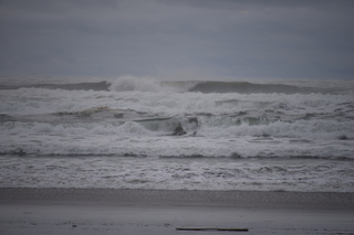 Filename=DSC_0985.JPG
Filesize=15520KiB
Dimensions=7360x4912
Date added=Dec 30, 2019 DSC_0985.JPG