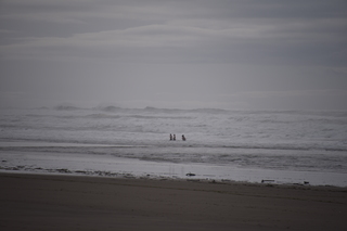 Filename=DSC_0987.JPG
Filesize=14839KiB
Dimensions=7360x4912
Date added=Dec 30, 2019 DSC_0987.JPG