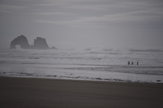 Filename=DSC_0988.JPG
Filesize=14472KiB
Dimensions=7360x4912
Date added=Dec 30, 2019 DSC_0988.JPG