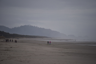 Filename=DSC_0992.JPG
Filesize=14876KiB
Dimensions=7360x4912
Date added=Dec 30, 2019 DSC_0992.JPG