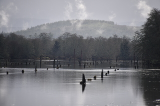 Filename=DSC_1011.JPG
Filesize=15298KiB
Dimensions=7360x4912
Date added=Dec 30, 2019 DSC_1011.JPG