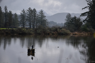 Filename=DSC_1012.JPG
Filesize=17001KiB
Dimensions=7360x4912
Date added=Dec 30, 2019 DSC_1012.JPG