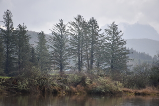 Filename=DSC_1015.JPG
Filesize=17808KiB
Dimensions=7360x4912
Date added=Dec 30, 2019 DSC_1015.JPG