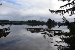 Filename=DSC_1016.JPG
Filesize=17228KiB
Dimensions=7360x4912
Date added=Dec 30, 2019 DSC_1016.JPG