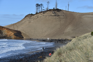 Filename=DSC_1021.JPG
Filesize=22453KiB
Dimensions=7360x4912
Date added=Dec 30, 2019 DSC_1021.JPG