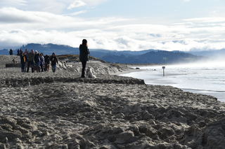 Filename=DSC_1034.JPG
Filesize=17857KiB
Dimensions=7360x4912
Date added=Dec 30, 2019 DSC_1034.JPG