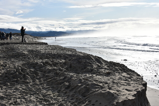 Filename=DSC_1035.JPG
Filesize=20339KiB
Dimensions=7360x4912
Date added=Dec 30, 2019 DSC_1035.JPG